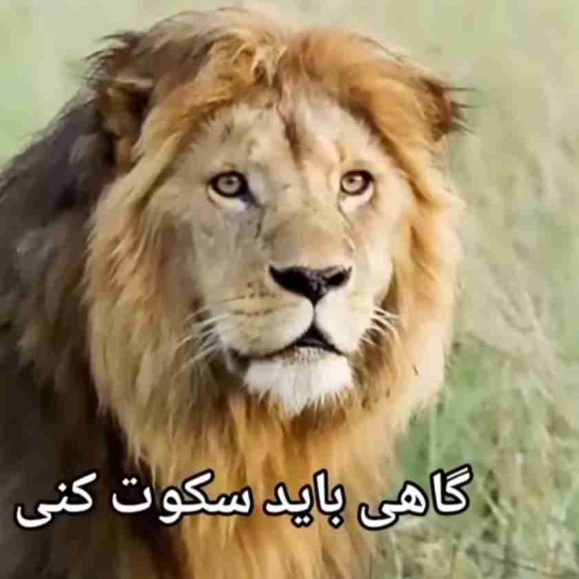 هر عضله ‌ایی را که 
بکار نبریم ضعیف و 
ضعیف ‌تر می‌شود؛
شعور و وجدان هم 
در انسان مثل یک عضله هستند .



   
 