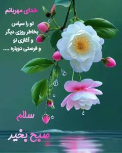 صبح تون بخیر 