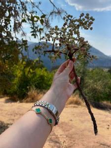 میدونین این چیه😋😍؟؟؟(کپشن)🙃