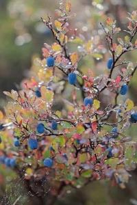 آرامش باید از درون تو شروع شود