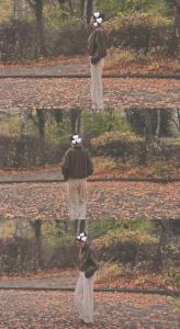 پاییز فصل قشنگیه ها🍁🪵🍂