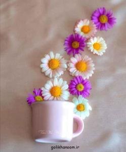 سلام زندگی عصرت قشنگ🕊❣🤞