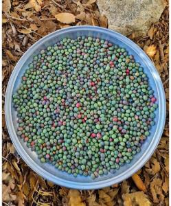 😋🥴شووتون خش بو 🫡