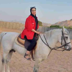 مبارک اسب غمکین☝️✖