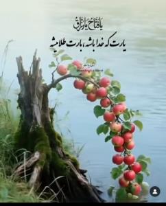 فقط خداوبس 🌟🌟