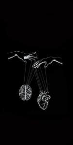 در نزاع عقل و دل آشفتگی ایراد نیست