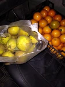 منم میخوام ترشی پرتقال بگیرم ،😂😂😂😂