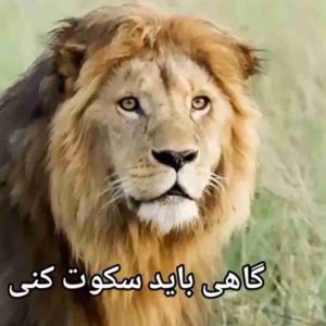 هر عضله ‌ایی را که 
بکار نبریم ضعیف و 
ضعیف ‌تر می‌شود؛
شعور و وجدان هم 
در انسان مثل یک عضله هستند .



   
 