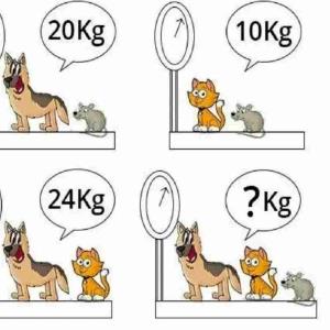 وزن  هر کدوم  جدا  جدا   بگو🫤🧐🥺🤔😑🐭🐹🐶