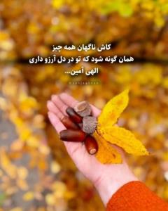 عصرتون دلپذیر🌹کپشن لطفاً 👇