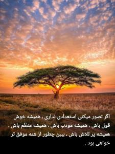 فکر میکنی استعدادی نداری....!؟