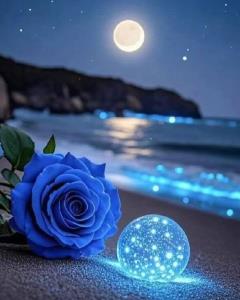 شبتون آبی💙💙