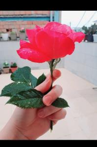 تقدیم به مهربانها   🌷🌷🌷💚