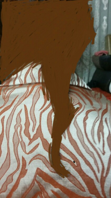 مامانم چند وقته موهاشو بلند میکنه با شونه و کش😂