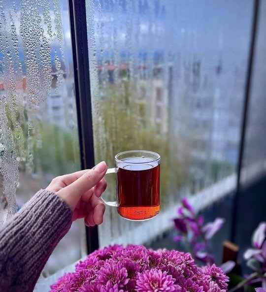 سلام بر کسانی که...