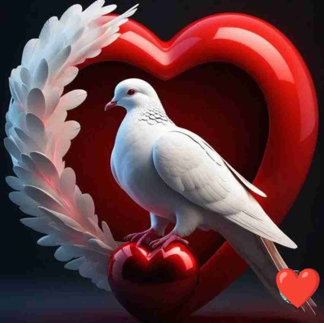 جعلت نبضکِ عشقی
وحروف إسمکِ طوق حول عنقی
و عطرکِ أنفاسی و قلبکِ مسکنی
عشقتکِ و إنتهى أمری