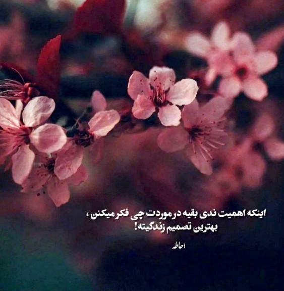 بهترین تصمیم