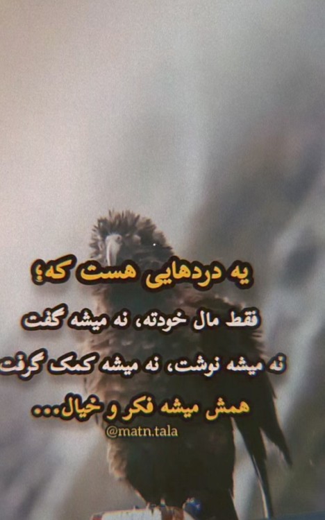 دقیقا 🥀🥀🥀