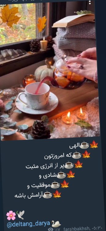 🌹🌹🌹💚💚💚