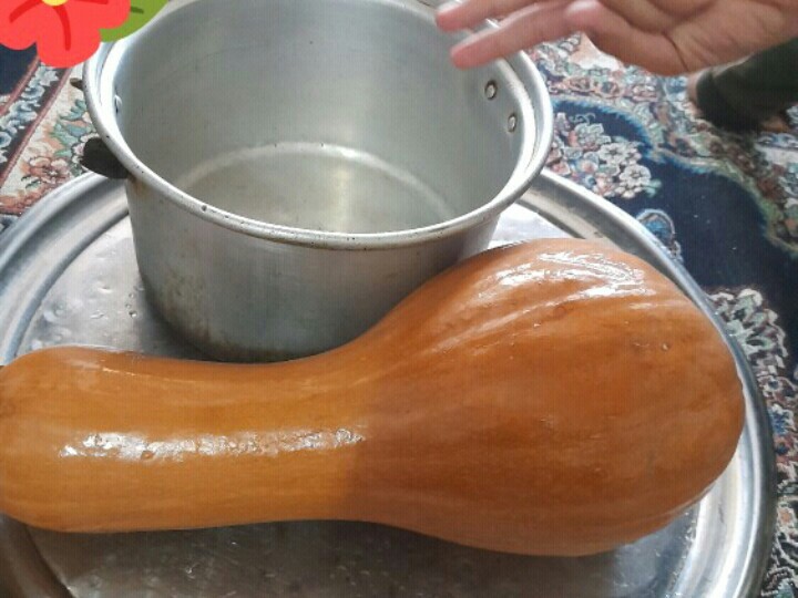 کدو تنبل عشق منه خیلی بامزه هست هر جا میبینم هوسش میکنم😍