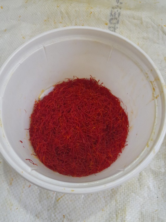 بلاخره تمام شد..دستت درد نکنه عزیزم 😍😂😂