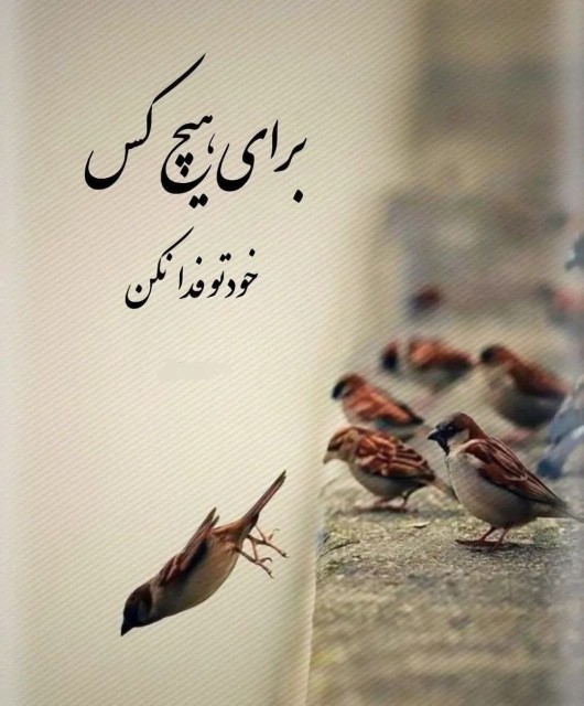 دایی غلام پازل بند