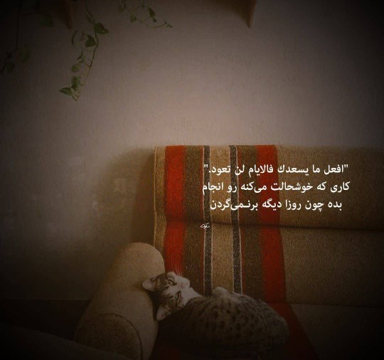 شبتون در پناه ایزد منان 👋👋