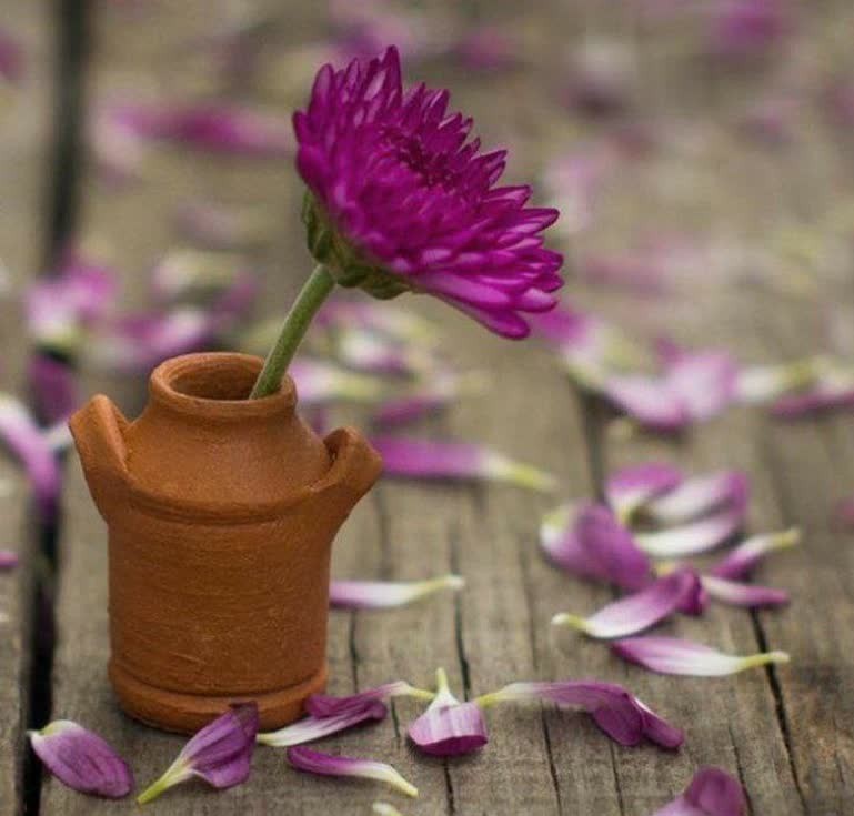 از زیباترین افرادی که واژه‌ی 
انسانیت برازندشونه،
کسایی هستن