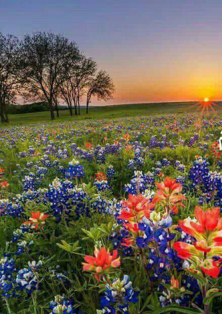 صبح پاییزی برکت و سلامتی ان شاءالله 