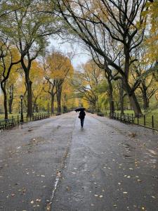 🍂درخت از برگ خسته میشد پاییز رو بهونه میکرد🍂️ 