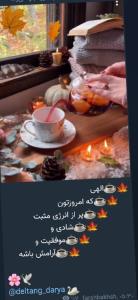 🌹🌹🌹💚💚💚