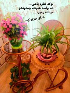  فداتم خدا..🧡💛 〰️