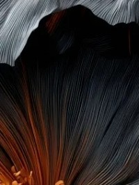 دلنوشته‌های من 🌺2/15