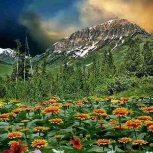 زمان رایگان است
ولی بسیارقیمتی!
نمیتوانیدصاحبش باشید،
امامیتوانید ازآن استفاده کنید.
نمیتوانید نگه‌اش دارید،اما میتوانید صرفش کنید.
ووقتی که ازدست دادید،دیگر هرگزنمیتوانید به دستش بیاورید.