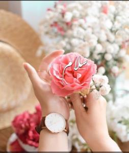 سلام عصرتون دلنوازدوستان گلم 🌻🍀