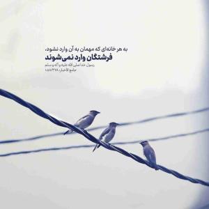 🔅 #پیامبرگرامی اسلام صلی‌الله علیه وآله:

✍️ کُلُّ بیتٍ لا یَدخُلُ فیهِ الضَّیفُ لا تَدخُلُهُ المَلائکةُ

💠 به هر خانه‌اى که مهمان به آن وارد نشود، فرشتگان وارد نمى‌شوند.

📚 جامع الأخبار : ۳۷۸/۱۰۵۸ .

#حدیث_روز 

🌅 مناسب #پروفایل 

