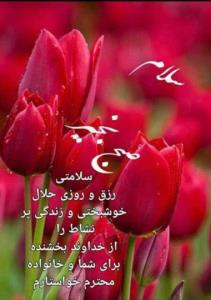 🪻سلام بچها🪻