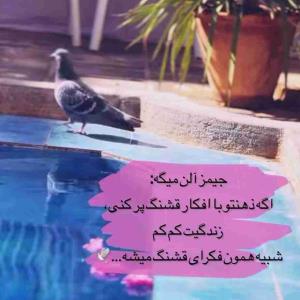 روزگارتون قشنگ 👍🏻🌸❤️🫶🏻💫