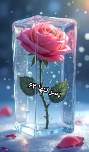 گل رز یخی 💖