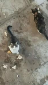 دخمل کوچیکم بزرگ شده نون ماست میخورن😂😌