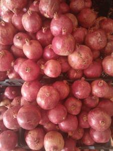 انار گل شهرضا 