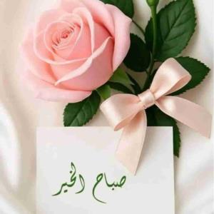 ☀️✨صبح‌ ها باید بلند شد...
🍁✨باید از نور، تا خدا رسید..

20 آبان مـاہ ازراہ رسید. 
ان شاء اللہ  تنتون سالم
  دلتون بے غم
و روز سه شنبہ تون 
متـبـرک بہ نـگاہ خداوندی🧡

سلام صبح بخیر ☕️🍂