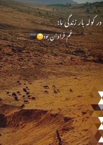 عمرم گهی با غم و گهی با درد گذشت