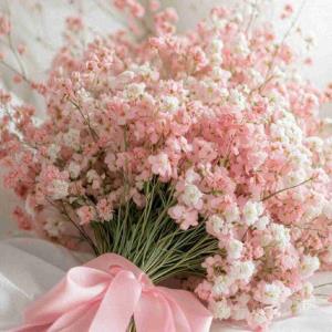 توزندگیت صبرو یادبگیر
حرص نخور،
ریلکس باش،
ببین،بشنو
بگذر..
رها باش❄️🌸
جدی نگیر!
همه کارات به موقعش اتفاق میفته🍓✨

صبحتون بخیر و نیکی 😍😍🌹🌹