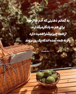 همین طوره 👌🏻