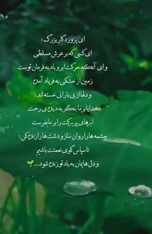 🌹🌹🌹🌹🌹🌹🦚🦚🦚🦚🦚