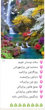 🌺🌺🌺🌺🌺🌺🌺