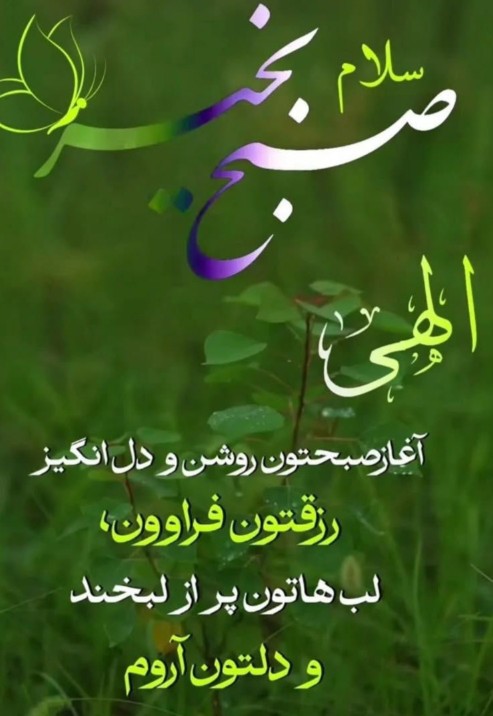 🌹🌹🌹🌹🌹🌹🌹