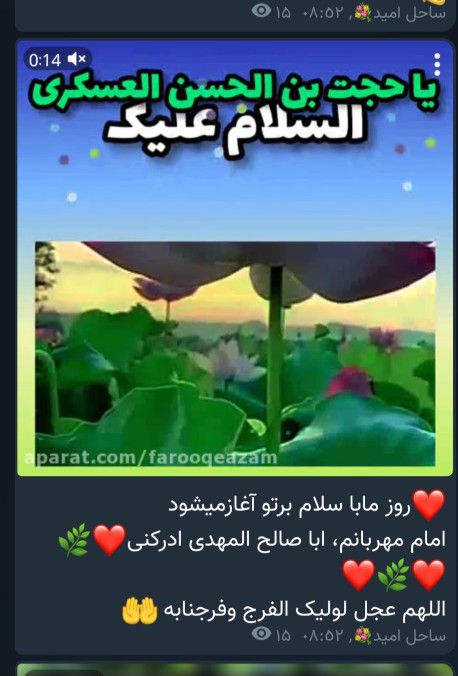 یا مهدی ادرکنیییی 💕 💕 💕 ⚘️⚘️