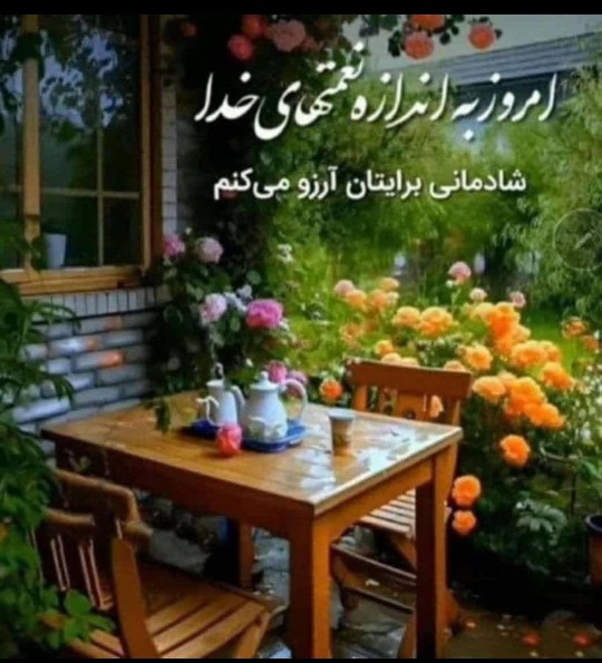 🌷🌷🌷🌷🌷🌷🌷